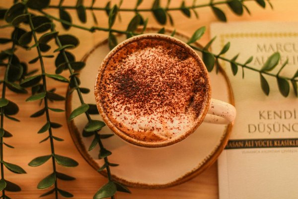 10 Aliments Exceptionnels pour une Peau Éclatante et Parfaitement Hydratée